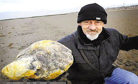 龍涎香是什么,是一種非常名貴的香料