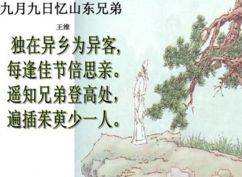 孟浩然關于重陽的詩，獨在異鄉為異客每逢佳節倍思親