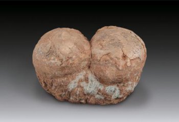 恐龍蛋化石值多少錢，單個最高成交價是128萬美元