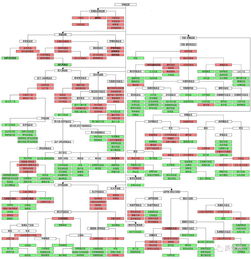 拉丁語是哪個國家的語言，屬于印歐語系-意大利語族