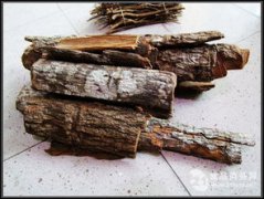 卡賓達樹皮有什么用，具有緩解疲勞促進性欲的作用