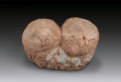 恐龍蛋化石值多少錢,單個最高成交價是128萬美元