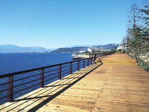 撫仙湖時光棧道在哪里，位于撫仙湖東岸大灣村附近