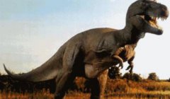 恐龍生活在什么時代，在三疊紀末期消失在白堊紀