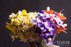 紫羅蘭的花語，藍(lán)色的為“我將永遠(yuǎn)忠誠于你”