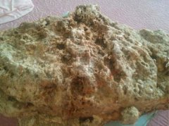 龍涎香多少錢(qián)一克，那么現(xiàn)在最新的龍涎香每克1500元