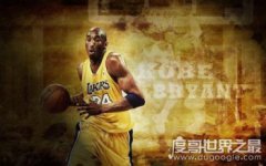 科比最帥的10張圖片,空中漫步大拉桿