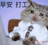 打工人是什么意思 梗怎么來的 10大打工人經典語錄