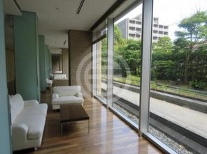 摩納哥房價多少錢一平，房價46萬一平一百萬竟然買不起一套房