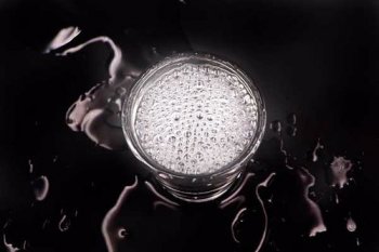 酒度數多少才算高,40度以上的酒精度數才算