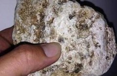 龍涎香的味道，聞起來(lái)有一種讓人沉醉的香味