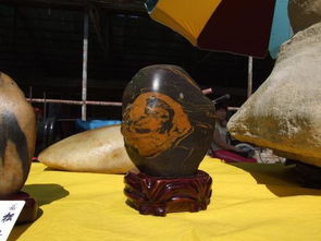 一枚恐龍蛋化石多少錢,大約都是在十幾萬美元