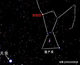 天狼星為什么那么亮，因為它是一顆藍矮星