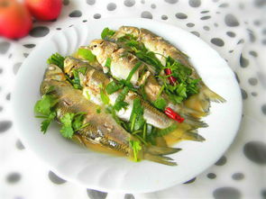 土魚一斤多少錢，廣東省珠海市價(jià)格10元一斤