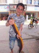 望月鱔跟黃鱔怎么區分，望月鱔喜食死狗、死貓及腐尸