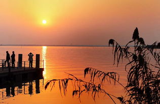 陽澄湖是哪個省的城市