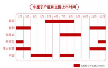 車厘子的j代表什么