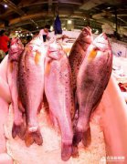 魚一斤多少元,同安區加州鱸魚批發價格13元一斤