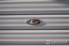 長智齒預示著什么運勢