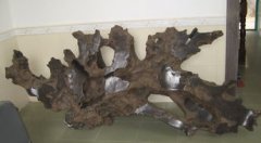 北方什么樹根做沉木,陰木、流木、藤條、杜鵑根