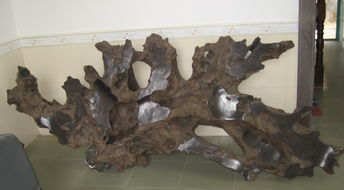 北方什么樹根做沉木，陰木、流木、藤條、杜鵑根