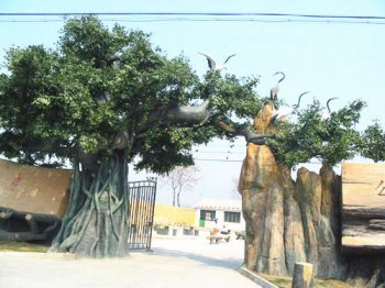 大門兩側種什么樹吉祥，棕櫚樹、棗樹、椿樹、槐樹