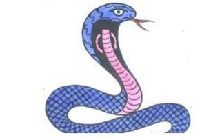 女人夢見很大的蛇，是吉兆預兆基本運程極好