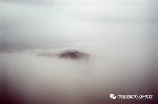 海子的經(jīng)典詩句，天空一無所有為何給我安慰