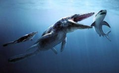 關于滄龍吃鯊魚的電影,是電影《侏羅紀世界》的畫面