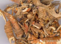 桑樹根能生發(fā)嗎，有提升頭部毛細(xì)管血液流動(dòng)性速率的作用