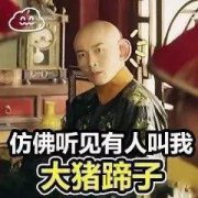 聶遠的大豬蹄子,因扮演的乾隆而被稱為“大豬蹄子”