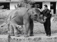 黑熊吃人的真實過程,從臀部開始將人的肉一塊塊的撕咬下來