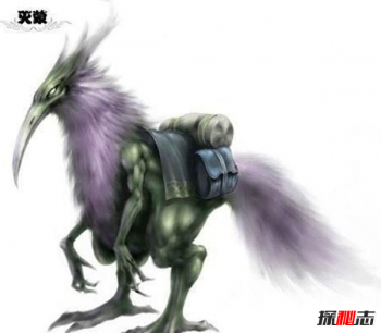 一個夢一個鳥，滅蒙鳥是什么鳥