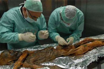 世上真正的木乃伊圖片，木乃伊會不會復活