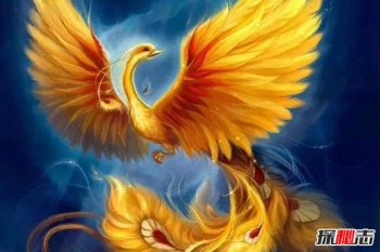 五鳳之首，九種鳳凰