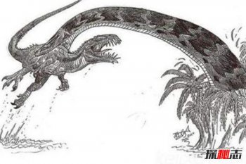 一億年巨蟒視頻，一億年巨蟒沃那比蛇