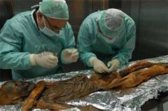 世上真正的木乃伊圖片，木乃伊會不會復活