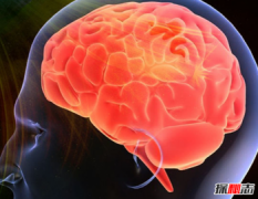 一張圖倒過來看嚇死人，世界上最聰明的人是誰