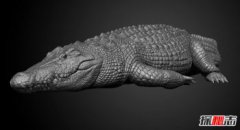 世界上哪個國家鱷魚最多，世界十大最大鱷魚