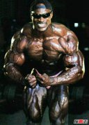 世界上最大的巨獸是什么，全球十大肌肉男巨獸