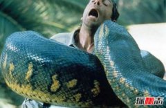 世界上最大的蛇. 巨蟒,人類發現世界上最大的蛇