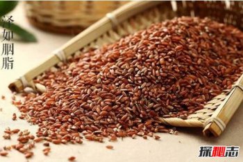 世界上最貴的大米多少錢一斤，世界上最貴的大米