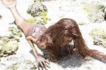 世界上有人拍到仙女，世界上真的有美人魚嗎