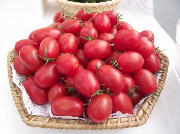 中國(guó)已禁止轉(zhuǎn)基因食品，圣女果是轉(zhuǎn)基因的嗎