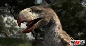 中國恐怖案件，史上最兇殘鳥巨型恐怖鳥