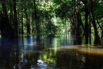亞馬遜河十大恐怖生物，亞馬遜河地下暗河