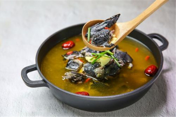 公烏雞和母烏雞是不是發物,烏骨雞是發物嗎