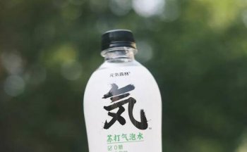元氣氣泡水是碳酸飲料嗎,元氣森林是碳酸飲料嗎