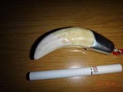 駱駝牙和老虎牙的區別