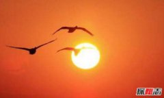 天狼星適合人類居住嗎，離地球最近的十大恒星